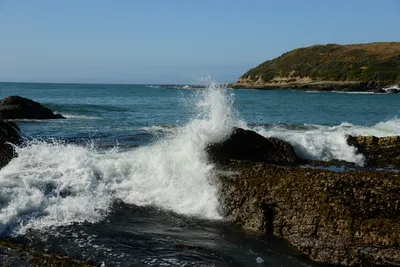 DSC_2652 (Large).JPG